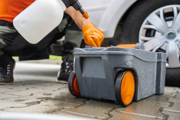 Best Storm Damage Tree Cleanup  in Flora, IL
